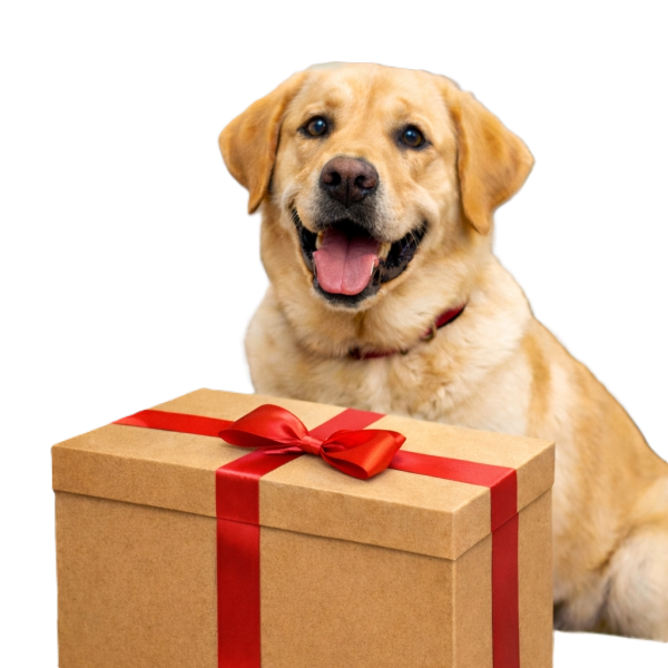 Ajándékdobozok Kép