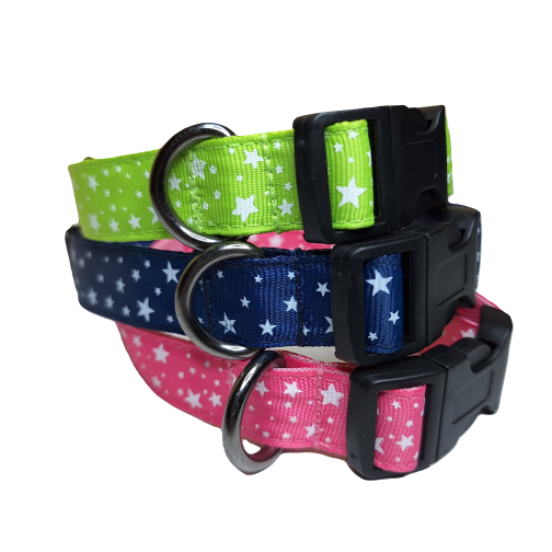 Nyakörv és póráz Kép