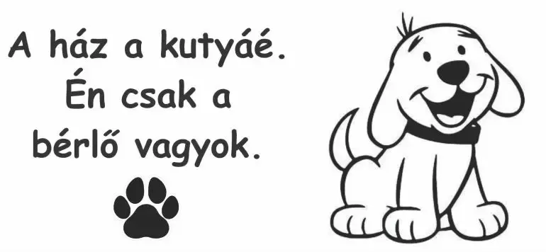 A ház a kutyáé. Én csak a bérlő vagyok.