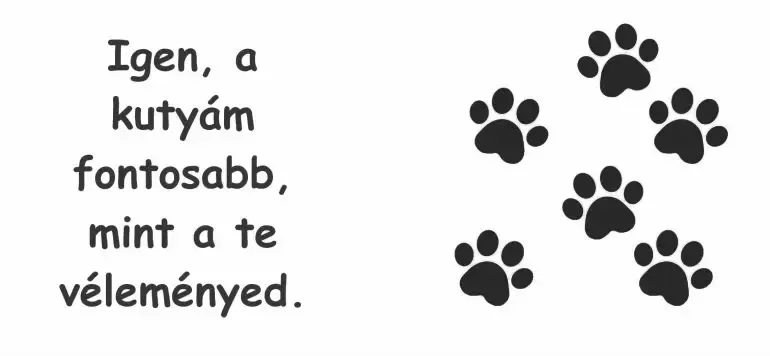 Igen a kutyám fontosabb, mint a te véleményed. Igen a kutyám fontosabb, mint a te véleményed.