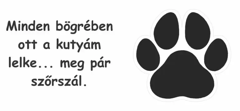 Minden bögrében ott a kutyám lelke... meg pár szőrszál Minden bögrében ott a kutyám lelke... meg pár szőrszál