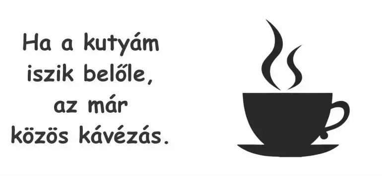 Ha a kutyám iszik belőle, az már közös kávézás. Ha a kutyám iszik belőle, az már közös kávézás.
