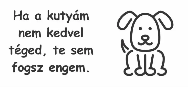 Ha a kutyám nem kedvel téged, te sem fogsz engem. Ha a kutyám nem kedvel téged, te sem fogsz engem.