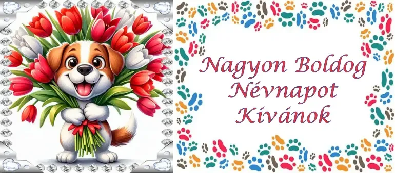 Boldog névnapot Boldog névnapot