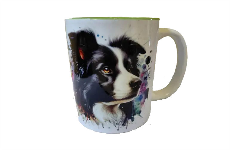 Border collie bögre Border collie bögre