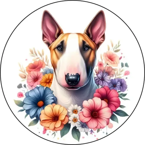 Bull terrier Bull terrier