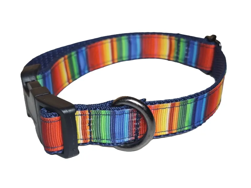 Csikos mintás nyakörv kék hevederrel Csikos mintás nyakörv kék hevederrel