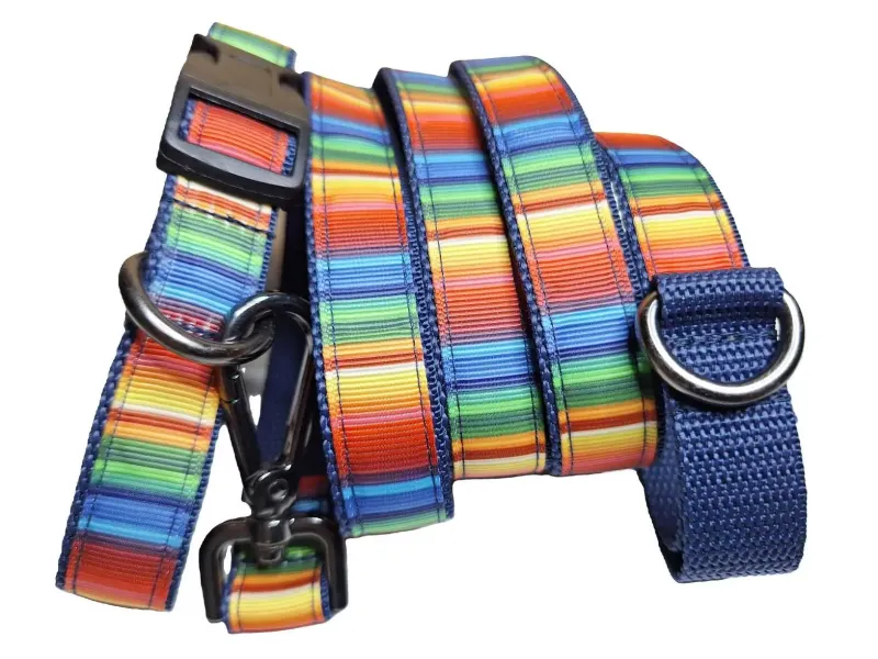 Csikos mintás póráz kék hevederrel Csikos mintás póráz kék hevederrel