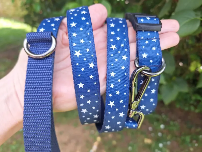 Kék csillagos póráz Kék csillagos póráz