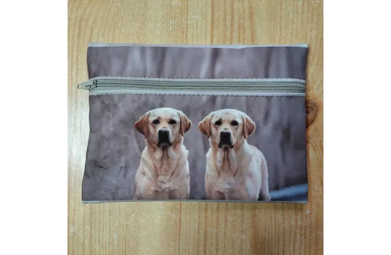 Labrador elölnézet Labrador elölnézet