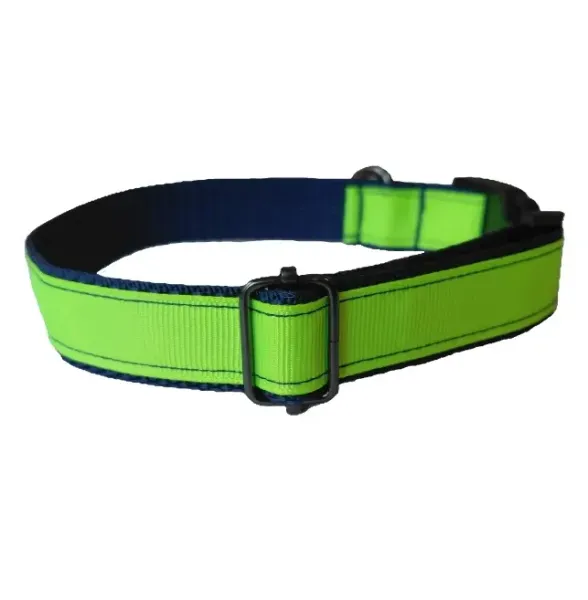 Neonzöld nyakörv kék hevederen