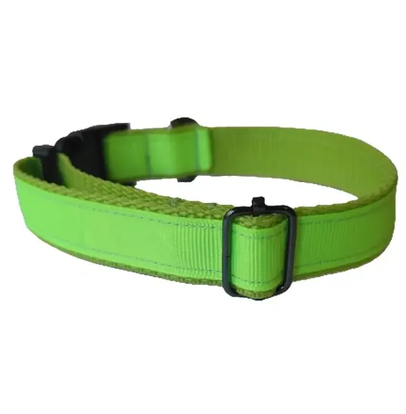 Neonzöld nyakörv zöld hevederen