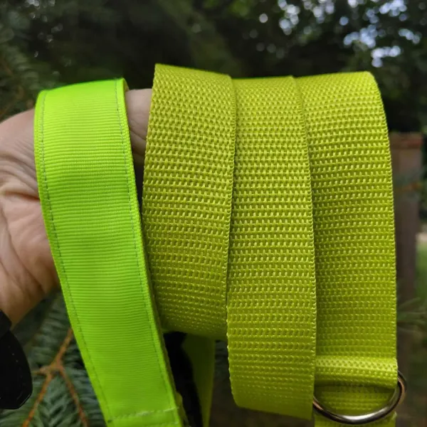 Neonzöld nyakörv és póráz Neonzöld nyakörv és póráz