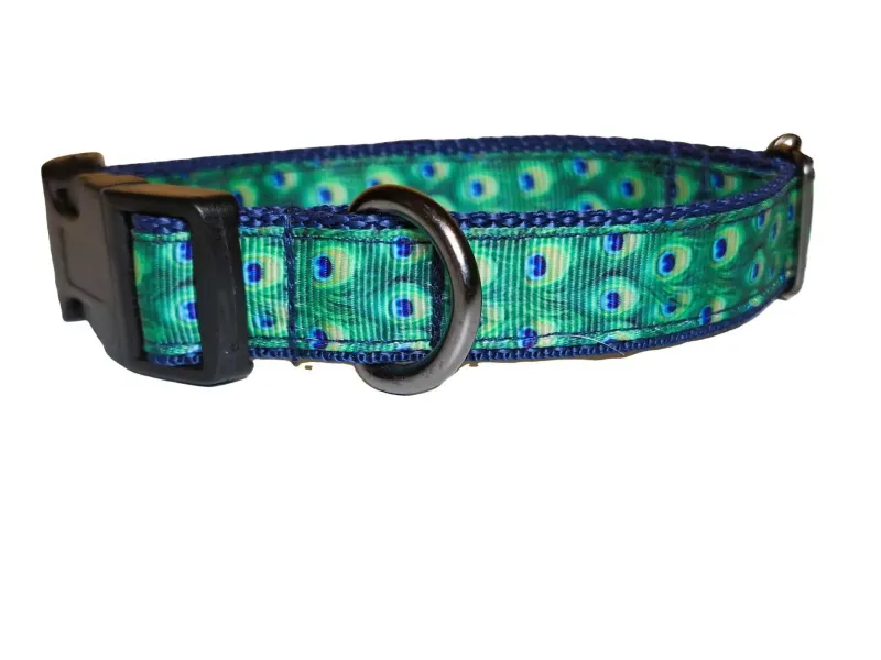 Pávatoll mintás nyakörv kék hevederrel Pávatoll mintás nyakörv kék hevederrel