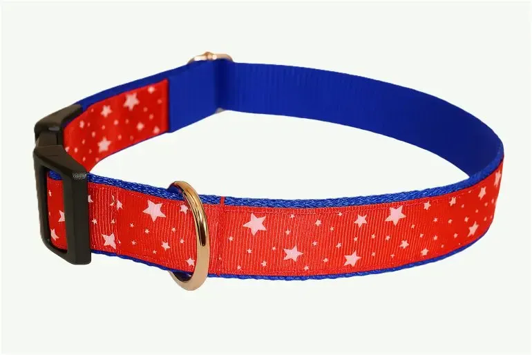 Piros csillagos nyakörv kék hevederrel