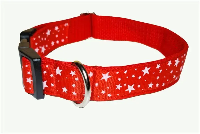 Piros csillagos nyakörv piros hevederrel