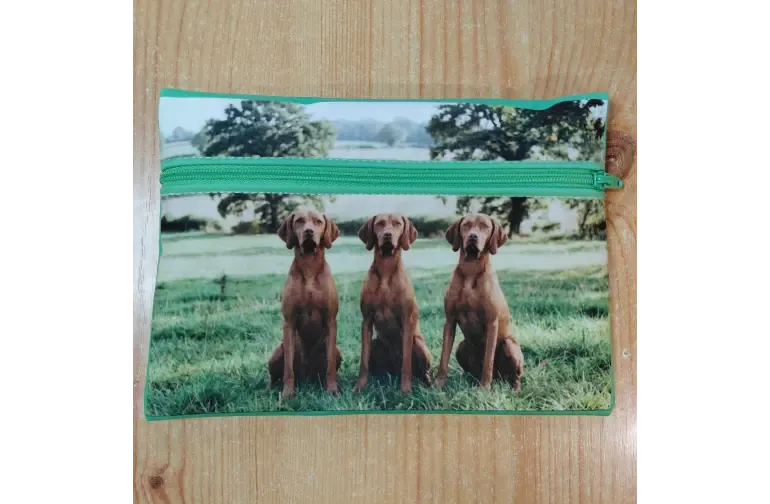 Vizsla elölnézet Vizsla elölnézet