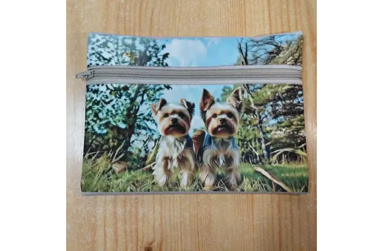 Yorkshire terrier elölnézet
