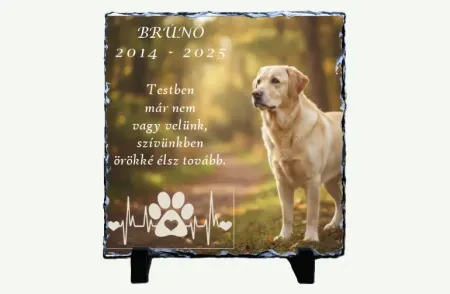 Brunó emlék kőlap