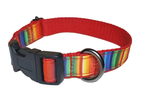 Csíkos nyakörv és póráz