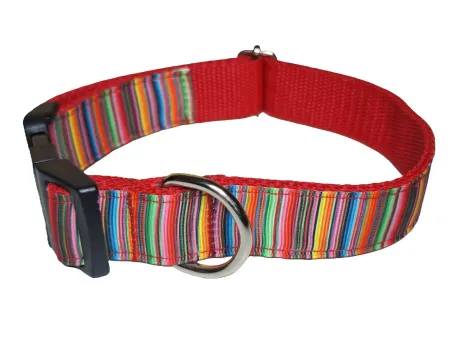 Csíkos nyakörv és póráz