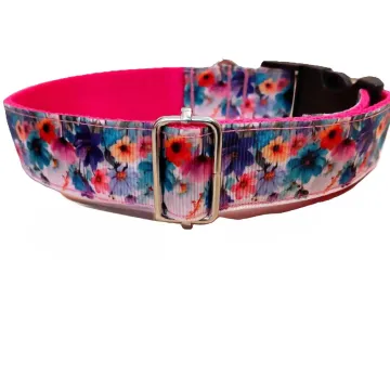 Lila virágos nyakörv és póráz