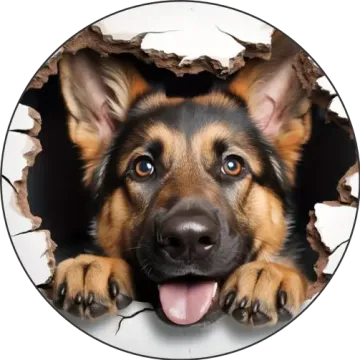 Német juhászkutya tányér