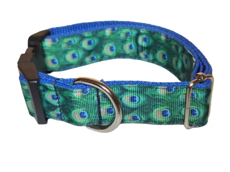 Pávatoll mintás nyakörv és Póráz