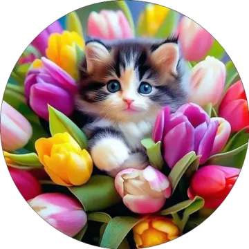 Tulipános cica tányér