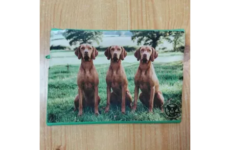 Vizsla hátulnézet Vizsla hátulnézet
