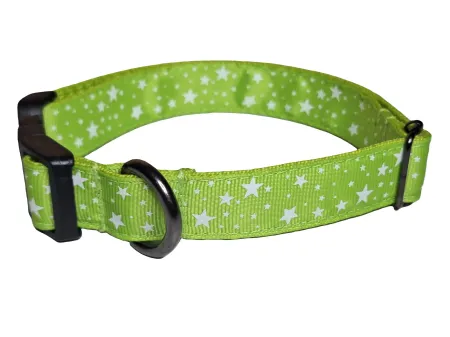 Zöld csillagos nyakörv és póráz