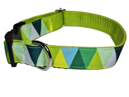 Zöld mozaikos nyakörv és póráz