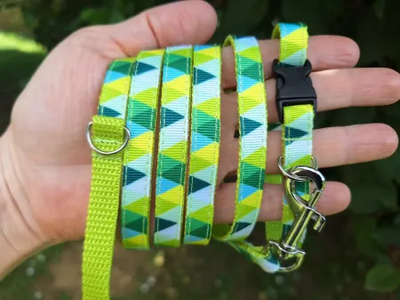 Zöld mozaikos nyakörv és póráz